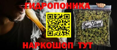 индика Абинск