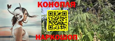 крисы Волжский