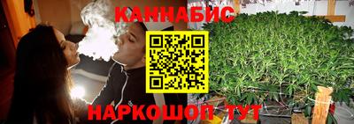 крисы Волжский