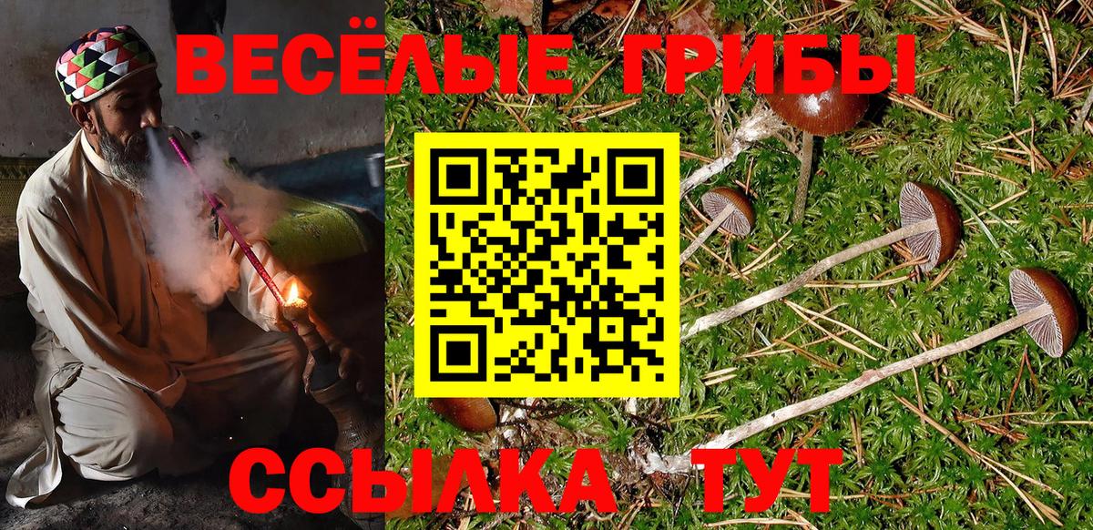 Галлюциногенные грибы прущие грибы  Вход с VPN  Джанкой 