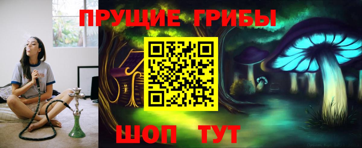 Псилоцибиновые грибы Psilocybine cubensis Джанкой